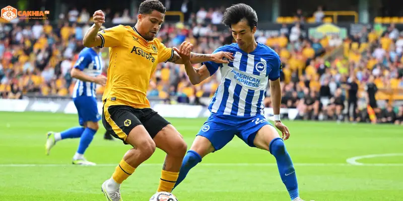 Bảng phong độ Brighton & Hove Albion vs Wolverhampton Wanderers
